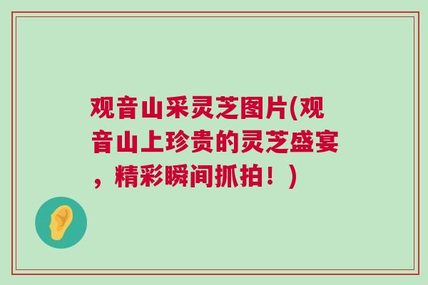 观音山采灵芝图片(观音山上珍贵的灵芝盛宴,精彩瞬间抓拍!) 观音山采灵芝图片(观音山上珍贵的灵芝盛宴,精彩瞬间抓拍!)