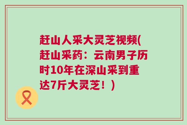 赶山人采大灵芝视频(赶山采药:云南男子历时10年在深山采到重达7斤大灵芝!) 赶山人采大灵芝视频(赶山采药:云南男子历时10年在深山采到重达7斤大灵芝!)