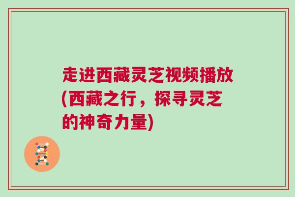 走进西藏灵芝视频播放(西藏之行，探寻灵芝的神奇力量)