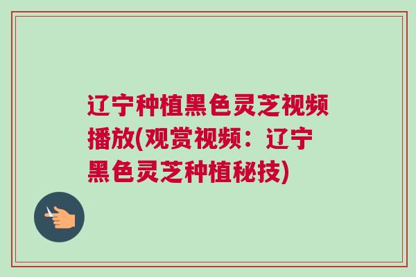 辽宁种植黑色灵芝视频播放(观赏视频：辽宁黑色灵芝种植秘技)