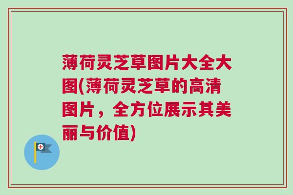 薄荷灵芝草图片大全大图(薄荷灵芝草的高清图片,全方位展示其美丽与价值) 薄荷灵芝草图片大全大图(薄荷灵芝草的高清图片,全方位展示其美丽与价值)