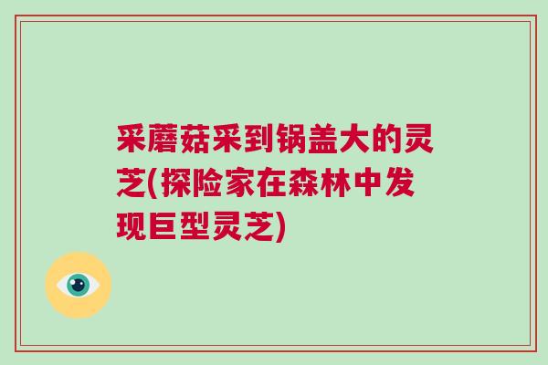 采蘑菇采到锅盖大的灵芝(探险家在森林中发现巨型灵芝)