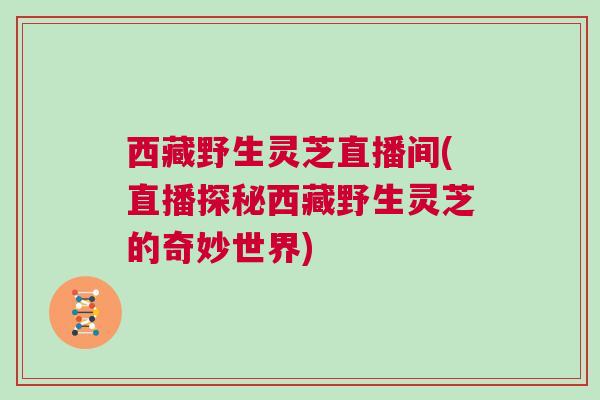 西藏野生灵芝直播间(直播探秘西藏野生灵芝的奇妙世界)