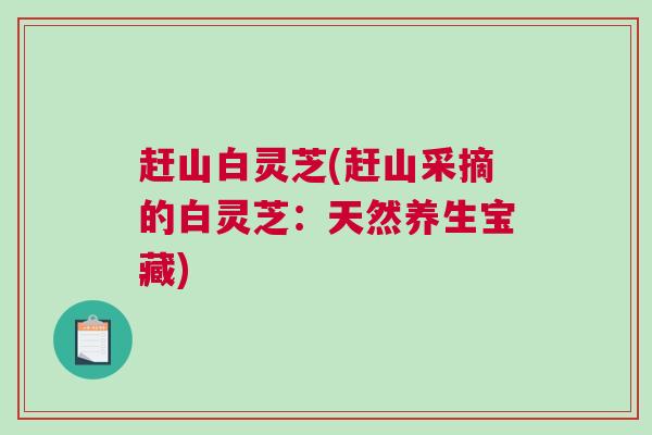 赶山白灵芝(赶山采摘的白灵芝：天然养生宝藏)