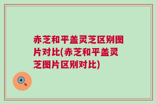 赤芝和平盖灵芝区别图片对比(赤芝和平盖灵芝图片区别对比)