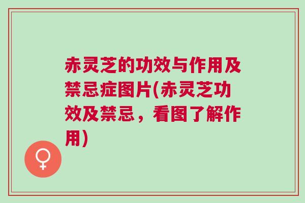 赤灵芝的功效与作用及禁忌症图片(赤灵芝功效及禁忌,看图了解作用) 赤灵芝的功效与作用及禁忌症图片(赤灵芝功效及禁忌,看图了解作用)