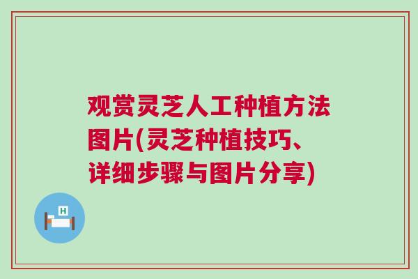 观赏灵芝人工种植方法图片(灵芝种植技巧、详细步骤与图片分享)