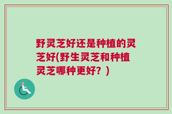 野灵芝好还是种植的灵芝好(野生灵芝和种植灵芝哪种更好?) 野灵芝好还是种植的灵芝好(野生灵芝和种植灵芝哪种更好?)