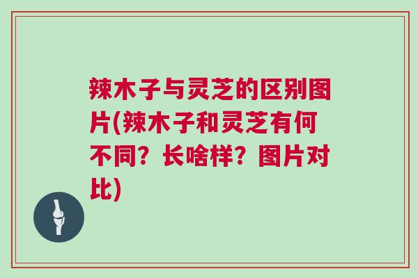 辣木子与灵芝的区别图片(辣木子和灵芝有何不同？长啥样？图片对比)