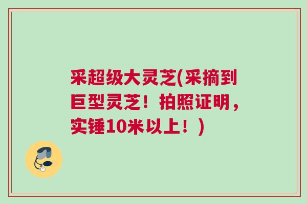 采超级大灵芝(采摘到巨型灵芝！拍照证明，实锤10米以上！)