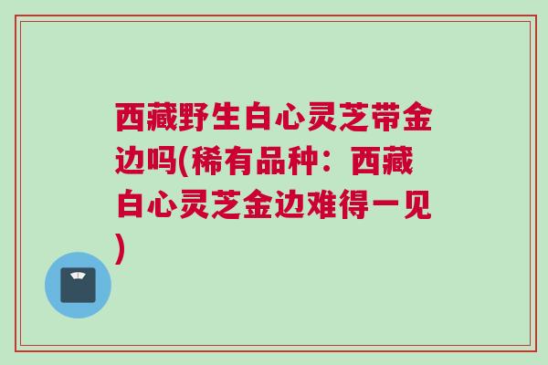 西藏野生白心灵芝带金边吗(稀有品种：西藏白心灵芝金边难得一见)