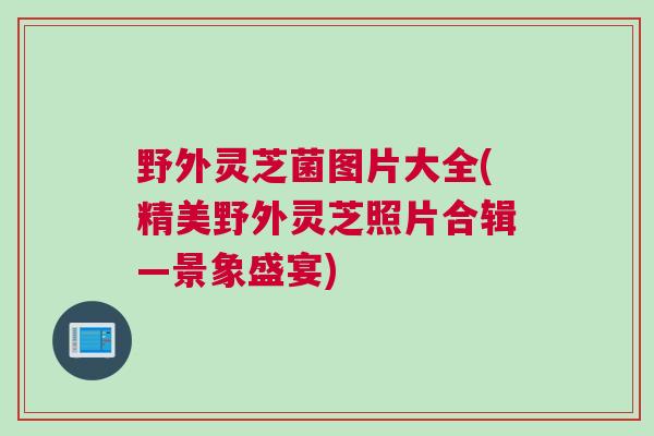 野外灵芝菌图片大全(精美野外灵芝照片合辑—景象盛宴)