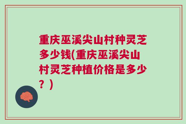 重庆巫溪尖山村种灵芝多少钱(重庆巫溪尖山村灵芝种植价格是多少？)
