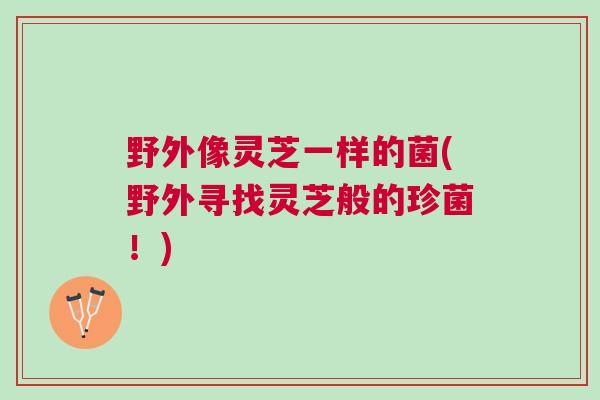 野外像灵芝一样的菌(野外寻找灵芝般的珍菌!) 野外像灵芝一样的菌(野外寻找灵芝般的珍菌!)