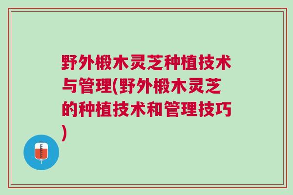 野外椴木灵芝种植技术与管理(野外椴木灵芝的种植技术和管理技巧) 野外椴木灵芝种植技术与管理(野外椴木灵芝的种植技术和管理技巧)