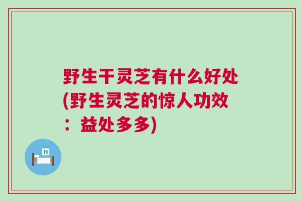野生干灵芝有什么好处(野生灵芝的惊人功效：益处多多)