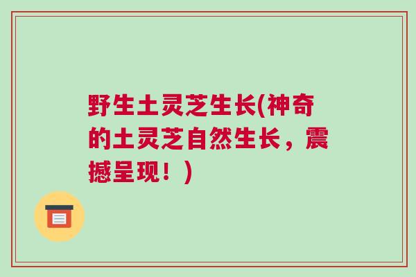 野生土灵芝生长(神奇的土灵芝自然生长，震撼呈现！)