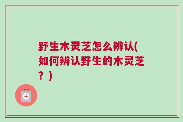 野生木灵芝怎么辨认(如何辨认野生的木灵芝？)