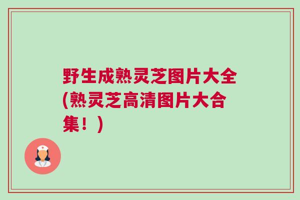 野生成熟灵芝图片大全(熟灵芝高清图片大合集！)