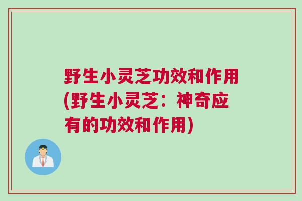 野生小灵芝功效和作用(野生小灵芝：神奇应有的功效和作用)