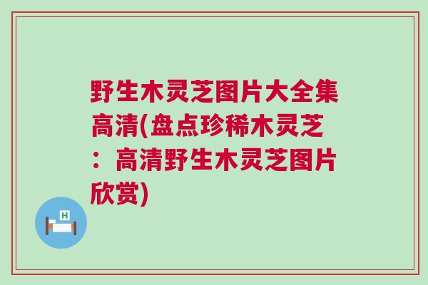 野生木灵芝图片大全集高清(盘点珍稀木灵芝：高清野生木灵芝图片欣赏)