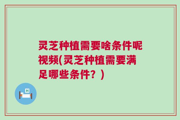 灵芝种植需要啥条件呢视频(灵芝种植需要满足哪些条件?) 灵芝种植需要啥条件呢视频(灵芝种植需要满足哪些条件?)