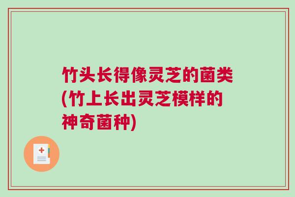 竹头长得像灵芝的菌类(竹上长出灵芝模样的神奇菌种)
