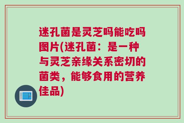 迷孔菌是灵芝吗能吃吗图片(迷孔菌：是一种与灵芝亲缘关系密切的菌类，能够食用的营养佳品)