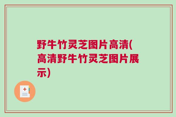 野牛竹灵芝图片高清(高清野牛竹灵芝图片展示)