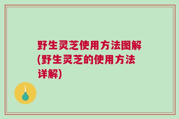 野生灵芝使用方法图解(野生灵芝的使用方法详解)