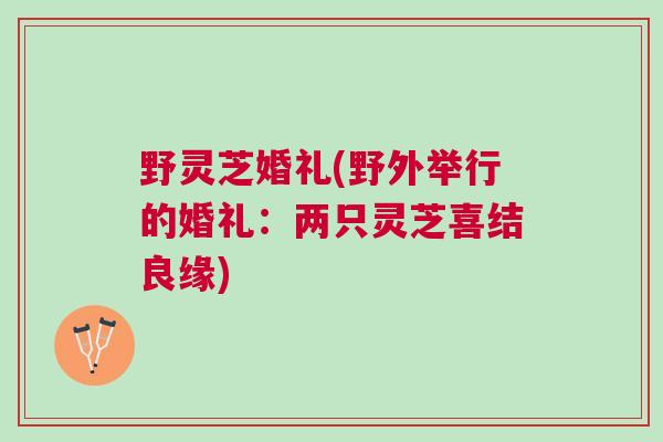 野灵芝婚礼(野外举行的婚礼：两只灵芝喜结良缘)