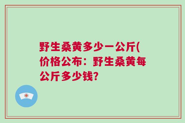 野生桑黄多少一公斤(价格公布：野生桑黄每公斤多少钱？