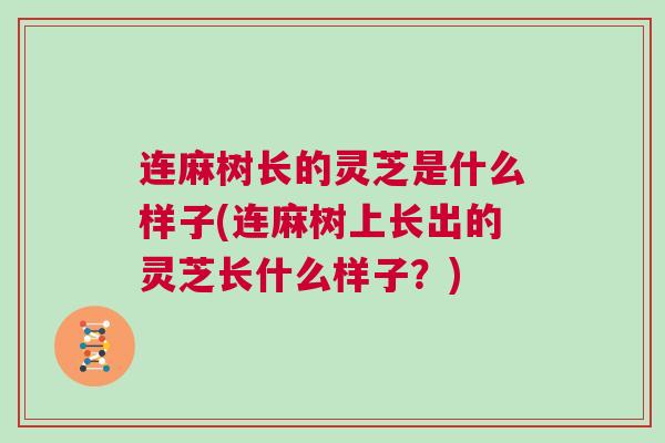 连麻树长的灵芝是什么样子(连麻树上长出的灵芝长什么样子?) 连麻树长的灵芝是什么样子(连麻树上长出的灵芝长什么样子?)