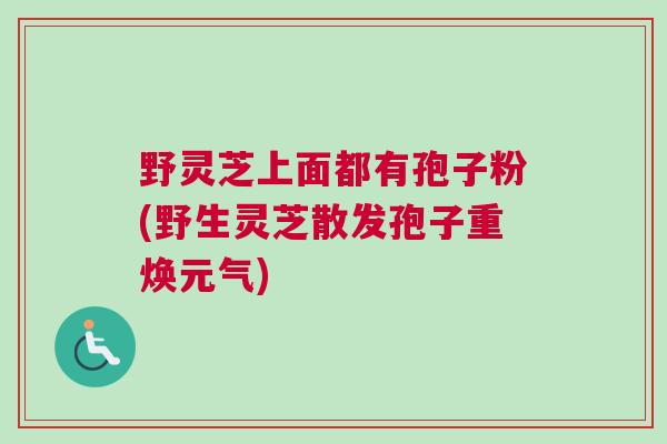 野灵芝上面都有孢子粉(野生灵芝散发孢子重焕元气) 野灵芝上面都有孢子粉(野生灵芝散发孢子重焕元气)