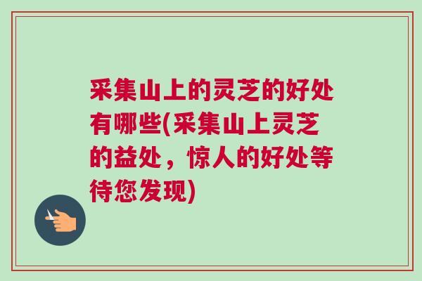 采集山上的灵芝的好处有哪些(采集山上灵芝的益处，惊人的好处等待您发现)