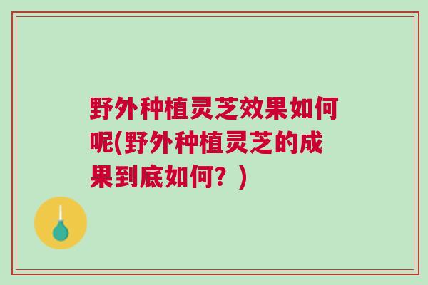 野外种植灵芝效果如何呢(野外种植灵芝的成果到底如何？)