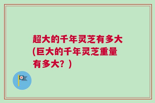 超大的千年灵芝有多大(巨大的千年灵芝重量有多大？)