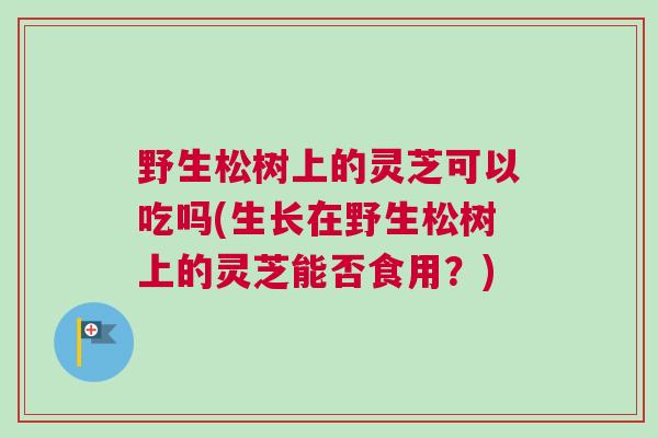 野生松树上的灵芝可以吃吗(生长在野生松树上的灵芝能否食用？)