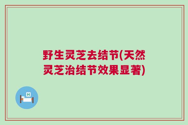 野生灵芝去结节(天然灵芝治结节效果显著)