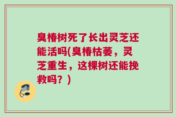臭椿树死了长出灵芝还能活吗(臭椿枯萎,灵芝重生,这棵树还能挽救吗?) 臭椿树死了长出灵芝还能活吗(臭椿枯萎,灵芝重生,这棵树还能挽救吗?)