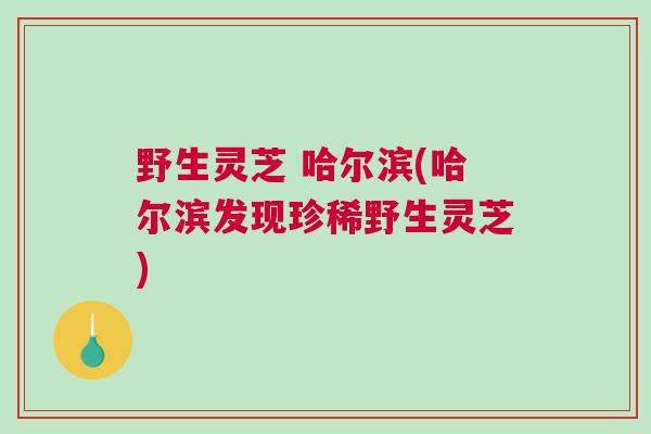 野生灵芝 哈尔滨(哈尔滨发现珍稀野生灵芝)