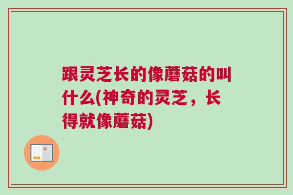 跟灵芝长的像蘑菇的叫什么(神奇的灵芝，长得就像蘑菇)