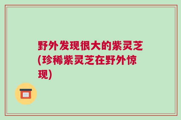 野外发现很大的紫灵芝(珍稀紫灵芝在野外惊现)