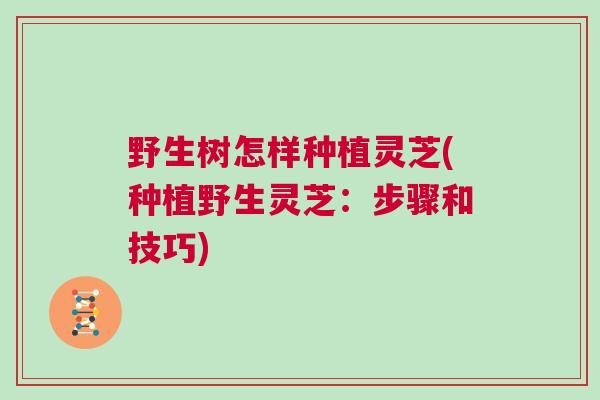 野生树怎样种植灵芝(种植野生灵芝：步骤和技巧)