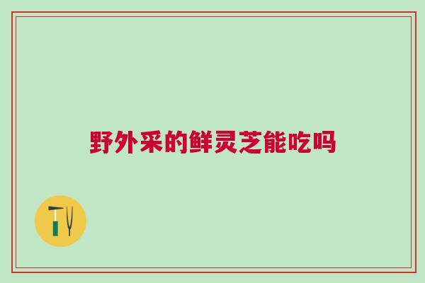 野外采的鲜灵芝能吃吗