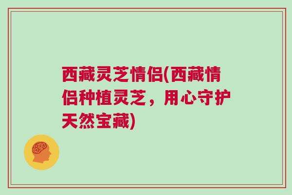 西藏灵芝情侣(西藏情侣种植灵芝，用心守护天然宝藏)
