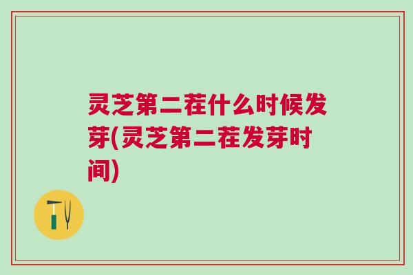 灵芝第二茬什么时候发芽(灵芝第二茬发芽时间)