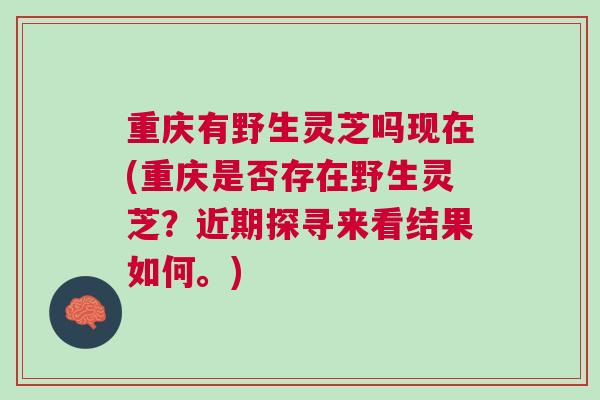重庆有野生灵芝吗现在(重庆是否存在野生灵芝？近期探寻来看结果如何。)