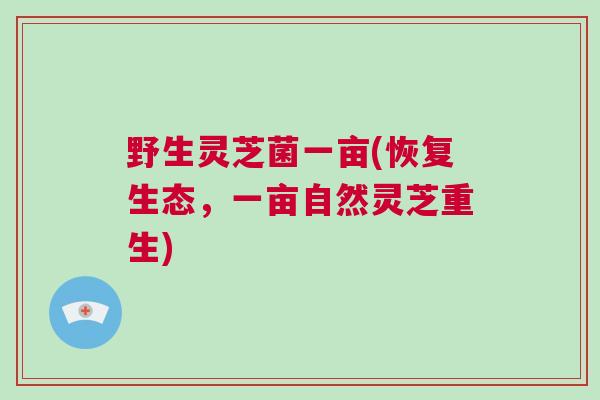 野生灵芝菌一亩(恢复生态，一亩自然灵芝重生)