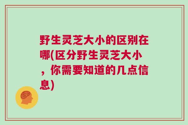 野生灵芝大小的区别在哪(区分野生灵芝大小，你需要知道的几点信息)